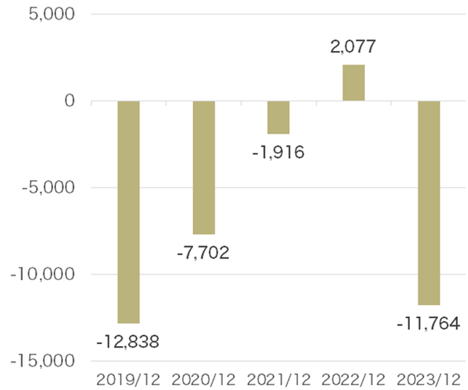 Investing Cash Flow