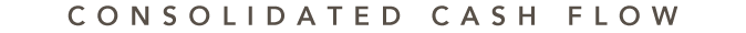 CONSOLIDATED CASH FLOW